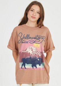 Yellowstone Bison