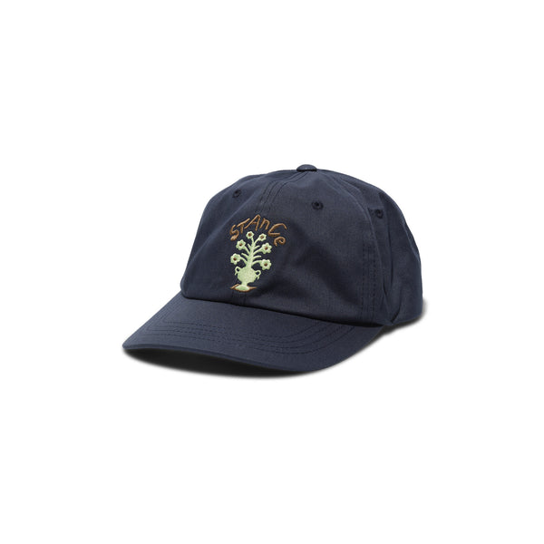 Standard Adjustable Cap