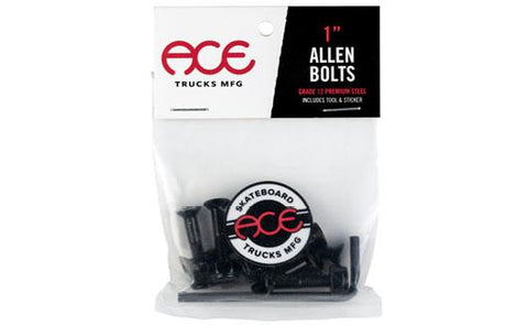 Ace Bolts 1" Allen Head Hardware