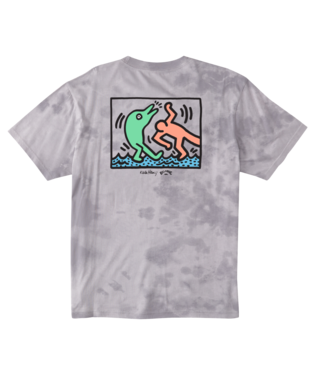 Billabong Dolpin Dance Short Sleeve Tee