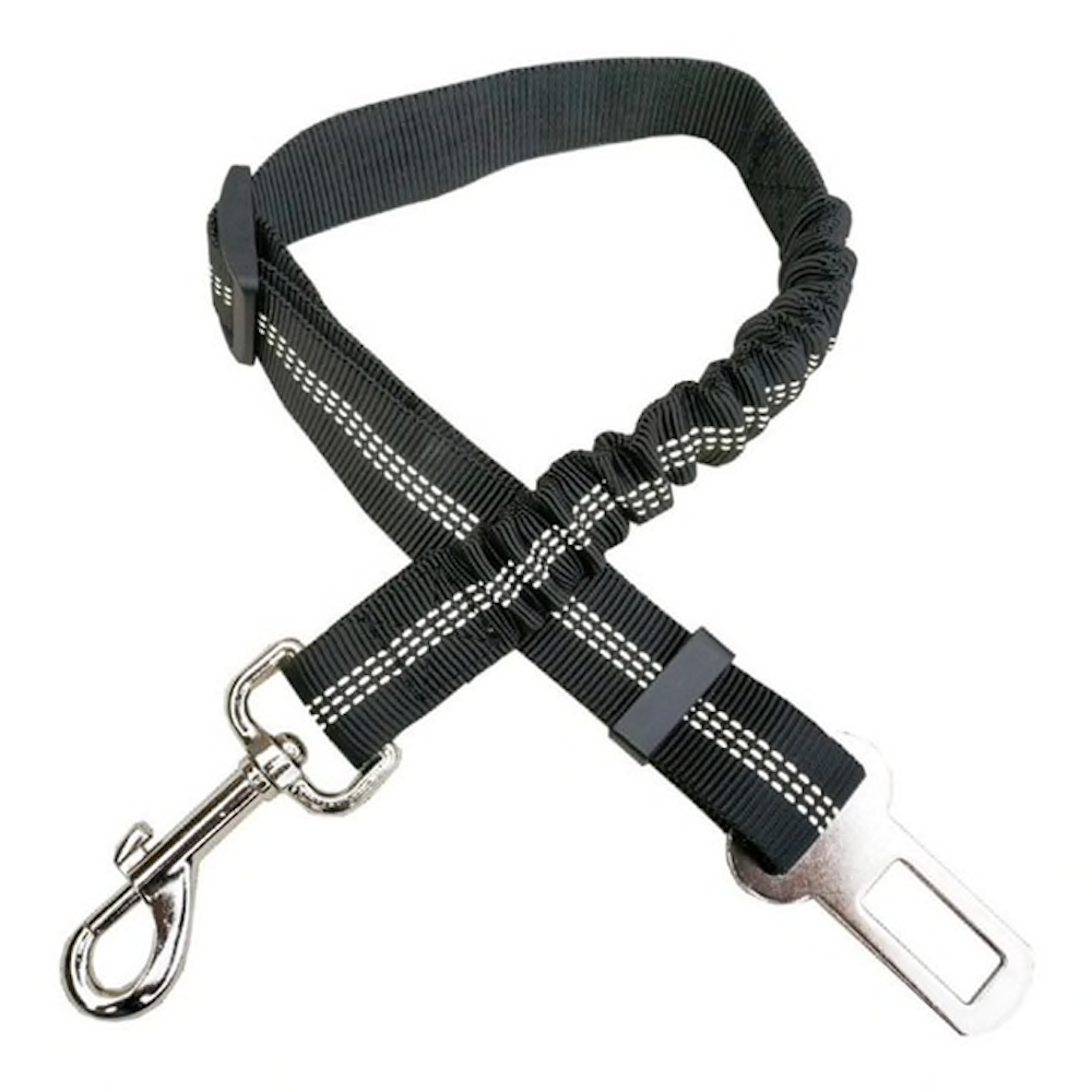 Car Elastic Safety Leash - Black